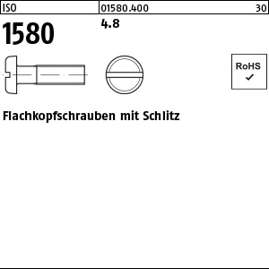 4.8 unveredelt; naturfarben Flachkopfschlitzschraube ISO 1580 M5 x 12 Ansicht 2