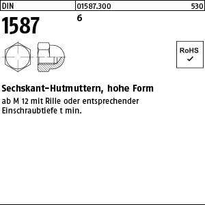 6 / 6 Automatenstahl unveredelt; naturfarben Sechskant-Hutmuttern DIN 1587 M8 x 6 / 6 Automatenstahl Ansicht 2