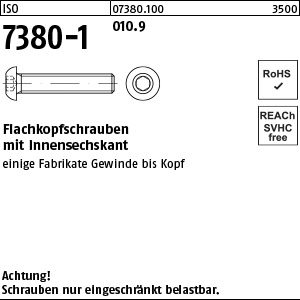 10.9 unveredelt; naturfarben Flachkopfschrauben ISO 7380 M6 x 30 Ansicht 2